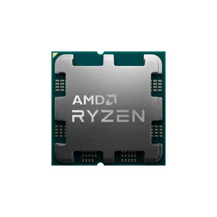 Ryzen 9 7900 AMD