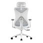 Silla Oficina Acteck PROEC737 Ajus Lumbar 120 Kg Blanco AC-937245