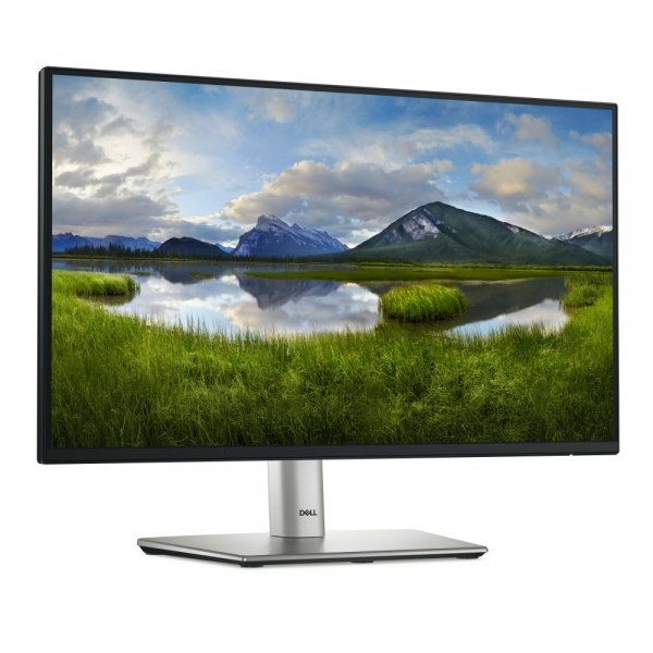 Monitor Dell P2225H Panel IPS, 21.5", Full HD, 100Hz, HDMI, Negro/Plata