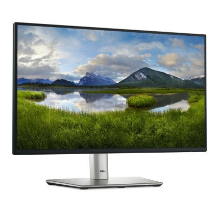Monitor Dell P2225H LED 21.5", Full HD, 100Hz, HDMI, Negro/Plata
