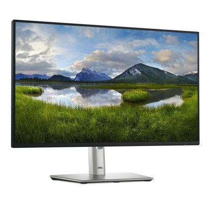 Monitor Dell P2425H LED 24", Full HD, 100Hz, HDMI, Negro/Plata