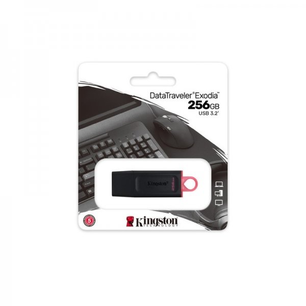 Memoria Flash Kingston 256 GB USB 3.2 GEN 1