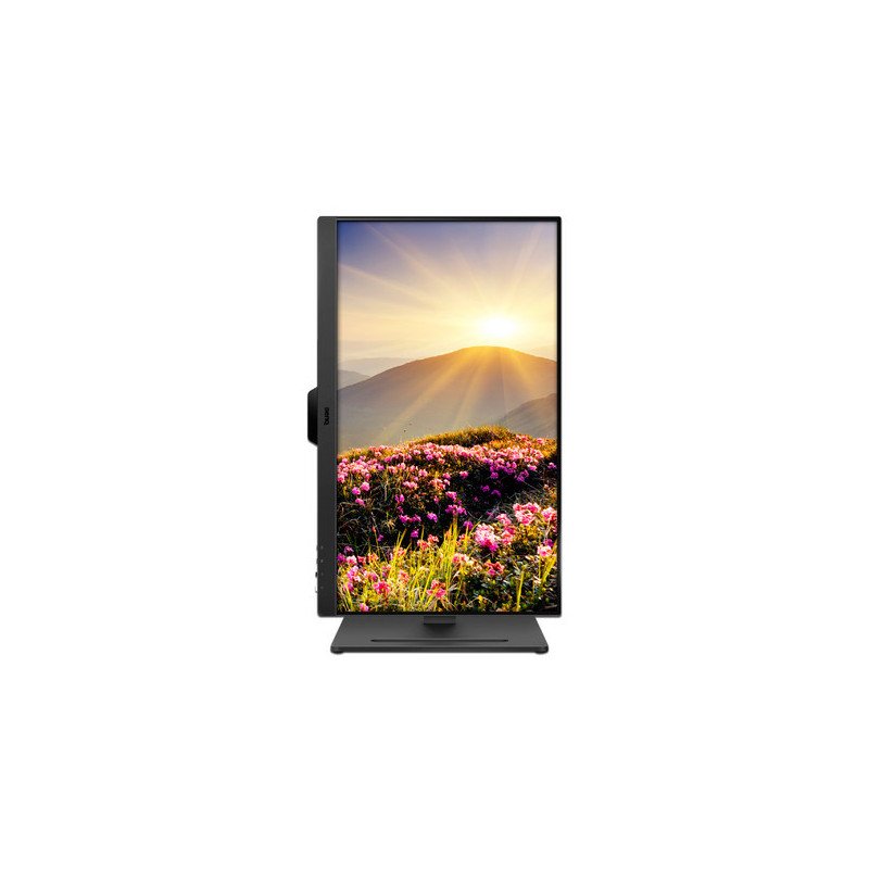 Monitor BENQ, GW2490T 23.8", 100HZ,  Full HD, 1920 x 1080 (9H.LMJLJ.LBL)