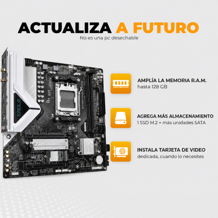PC Sense | Gank Gaming Store®