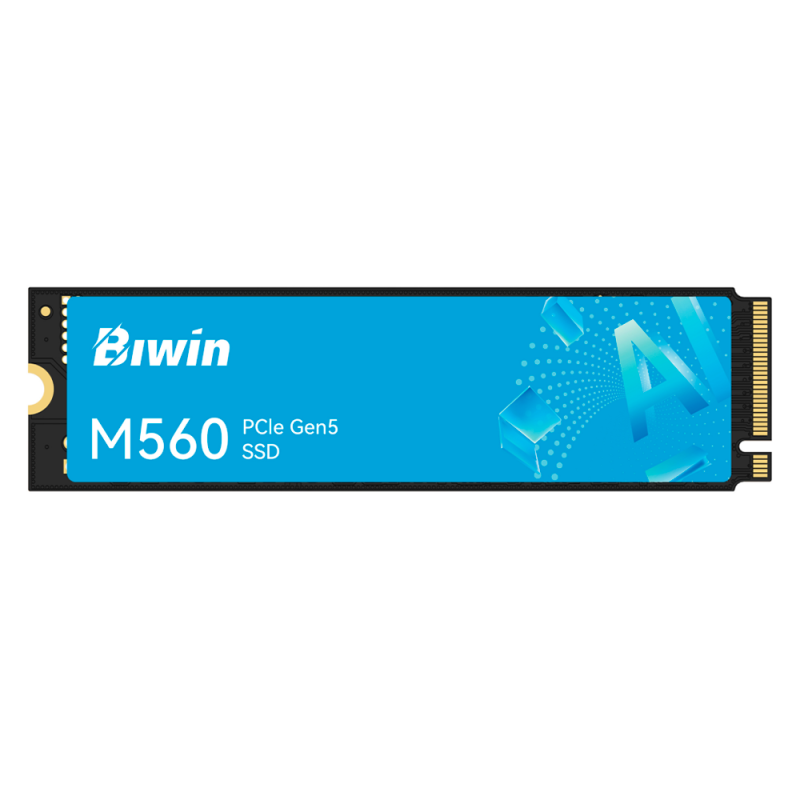 SSD M.2 NVMe Biwin M560 1TB PCIe Gen5 de Alto Rendimiento para PC Gamer
