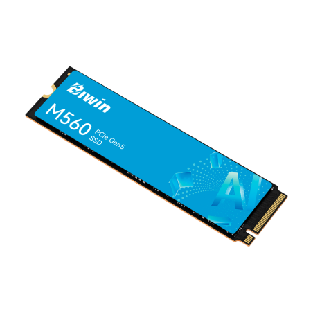 SSD M.2 Biwin M560 1TB PCIe Gen 5 NVMe hasta 11,000 MB/s