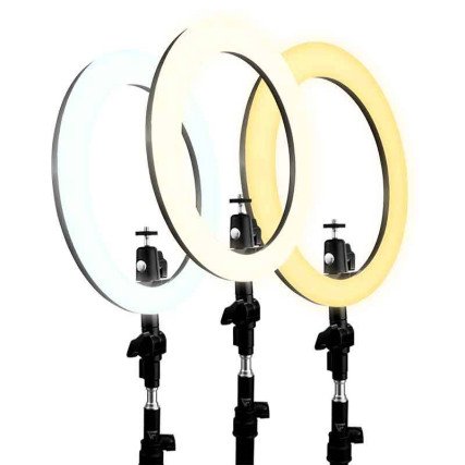 LRG300 Game Factor / Gank®